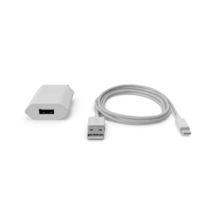Apple iPhone Charger