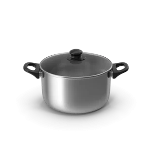 Silver Pot With Glass Cap