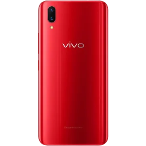Vivo X21